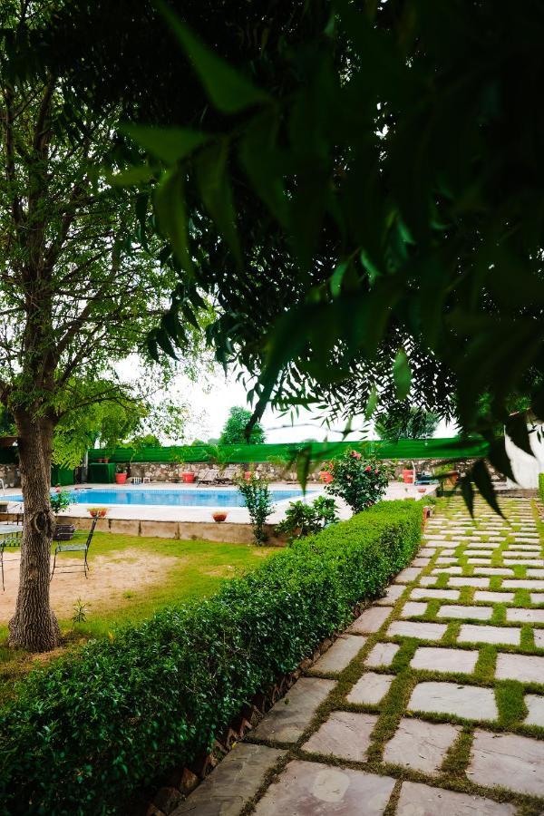 The Rustic Villa, A Stay With Luxuries Amenities And Exotic Nature Divisione di Divisione di Jaipur Esterno foto